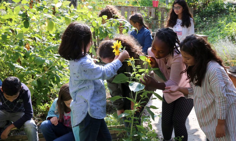 Juin; s'engager pour la nature, verdurisation d'une cour de récréation.
(Pictures / Francois Walschaerts)